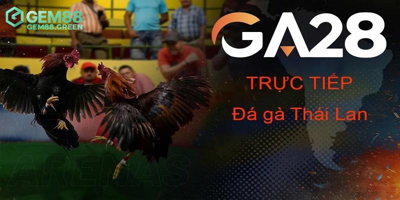 Vài điều về sân chơi đá gà GA28 đẳng cấp