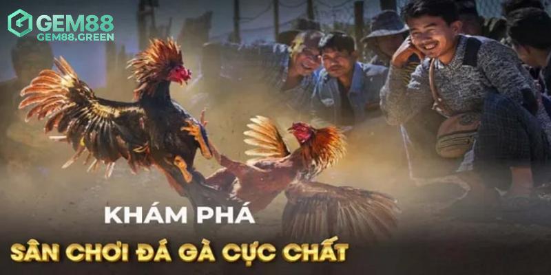 Các kê thủ luôn có được trải nghiệm tốt nhất khi đến với đá gà GA28