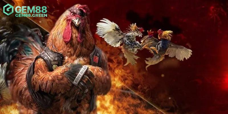 Những điểm khiến đá gà GEM88 luôn được đánh giá cao